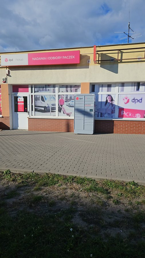 Zdjęcie